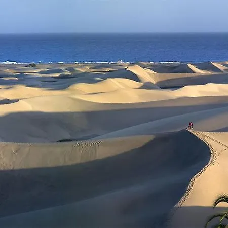 Teneguia-yumbo I
